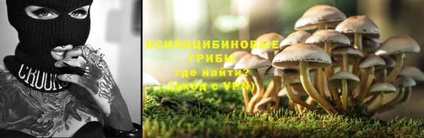 винт Осташков