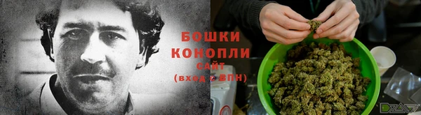СК Осинники
