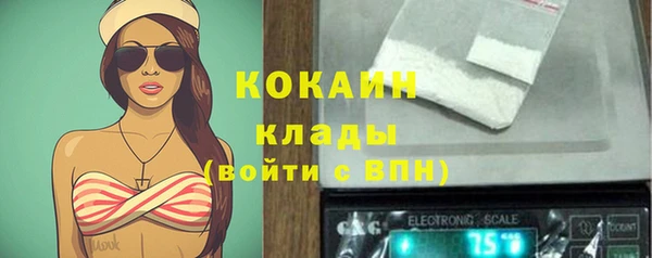 СК Осинники