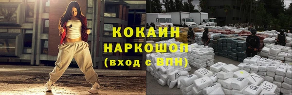 СК Осинники