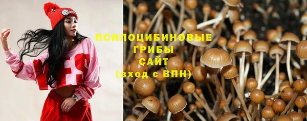 винт Осташков