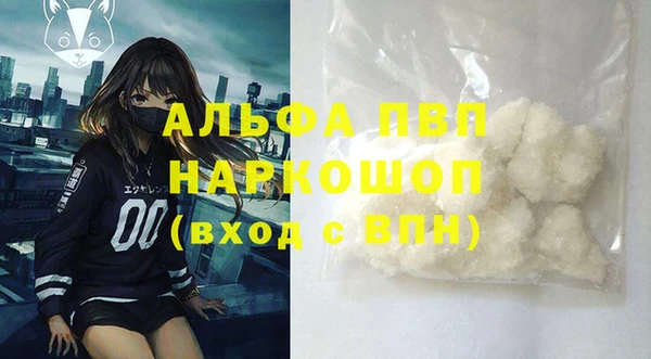 СК Осинники