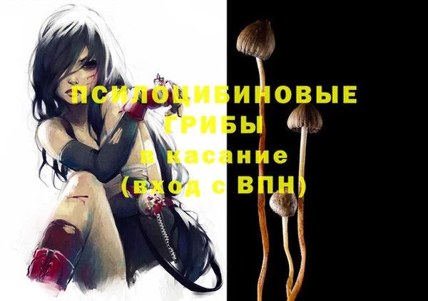 СК Осинники