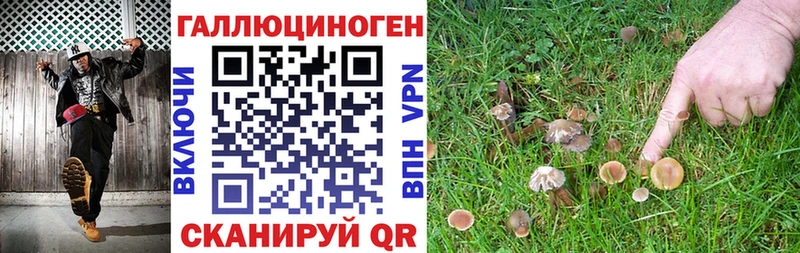 Псилоцибиновые грибы MAGIC MUSHROOMS  Балахна 
