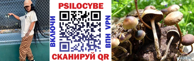 Галлюциногенные грибы Cubensis Балахна